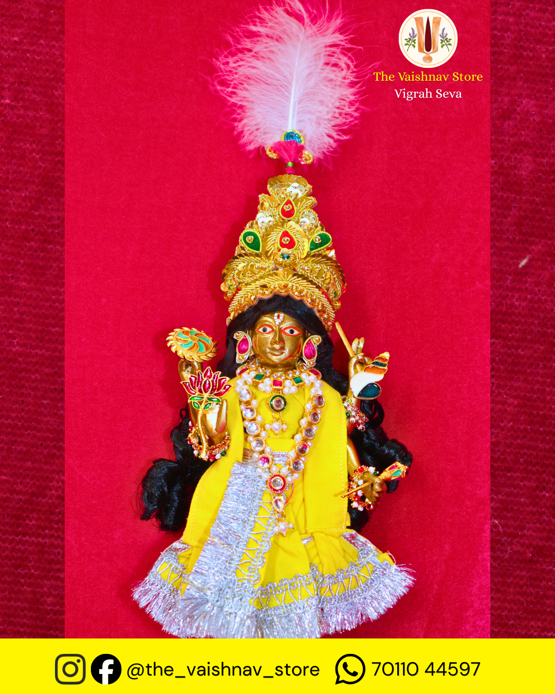 Bhagwan Shri Narayan Ji (Vigrah Seva)