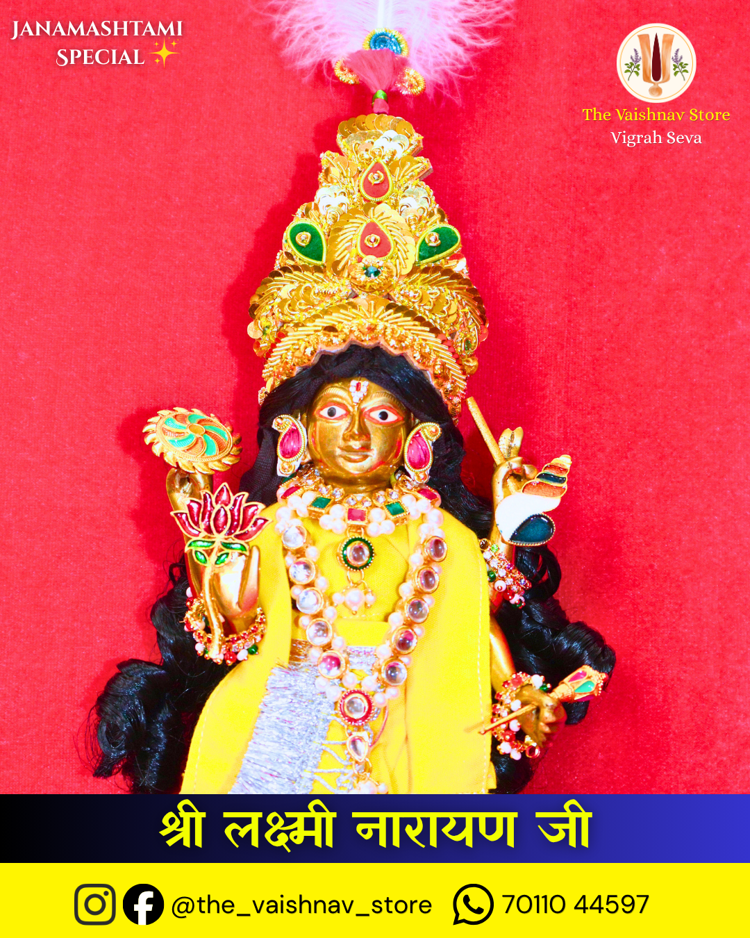 Bhagwan Shri Narayan Ji Brass Vigrah (Close-Up View)